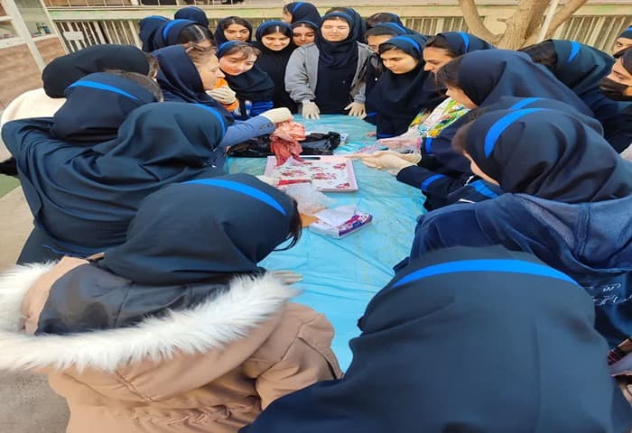 تشریح زیست